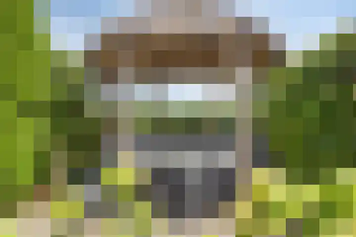 Smeestraat 1 Veessen thumbnail 44
