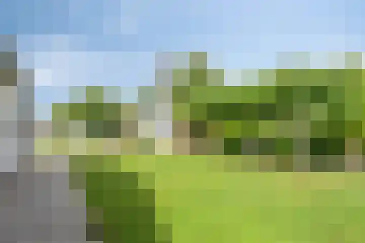 Smeestraat 1 Veessen thumbnail 45