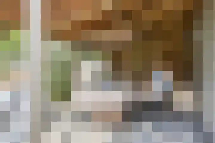 Smeestraat 1 Veessen thumbnail 48