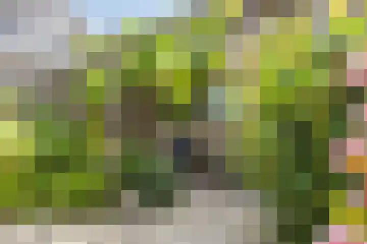 Smeestraat 1 Veessen thumbnail 49
