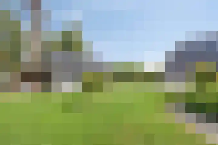 Smeestraat 1 Veessen thumbnail 50