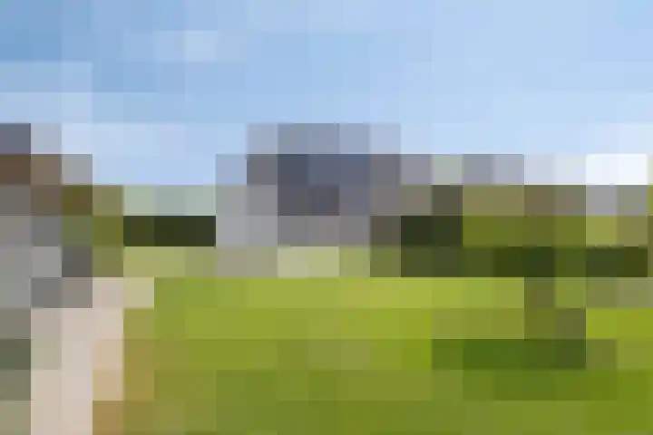 Smeestraat 1 Veessen thumbnail 51