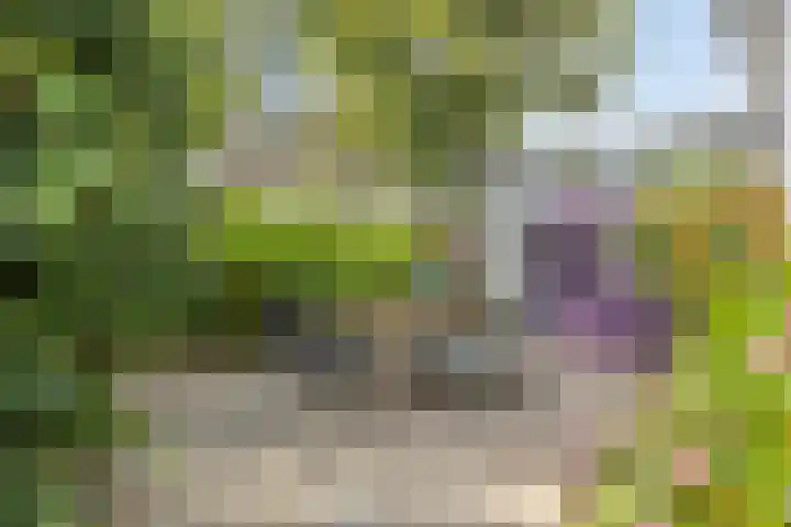 Smeestraat 1 Veessen thumbnail 53