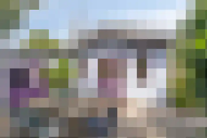 Smeestraat 1 Veessen thumbnail 54