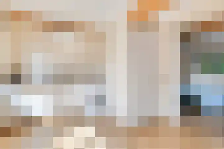 Smeestraat 1 Veessen thumbnail 57