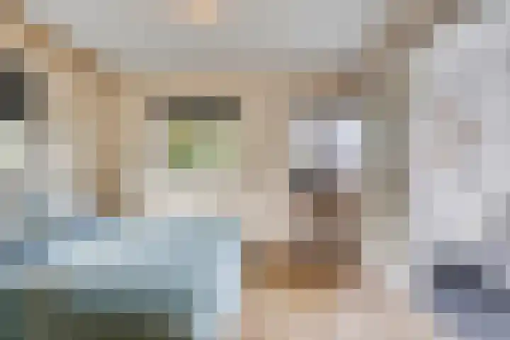 Smeestraat 1 Veessen thumbnail 60