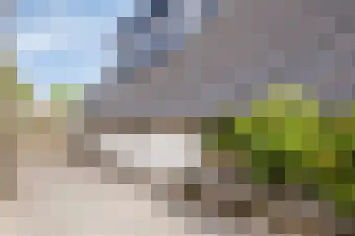 Smeestraat 1 Veessen thumbnail 64