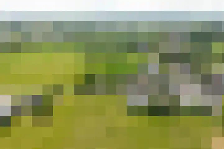 Smeestraat 1 Veessen thumbnail 66