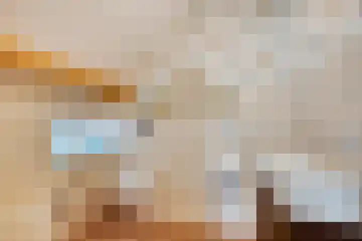 Smeestraat 1 Veessen thumbnail 7