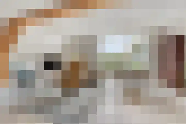 Smeestraat 1 Veessen thumbnail 8