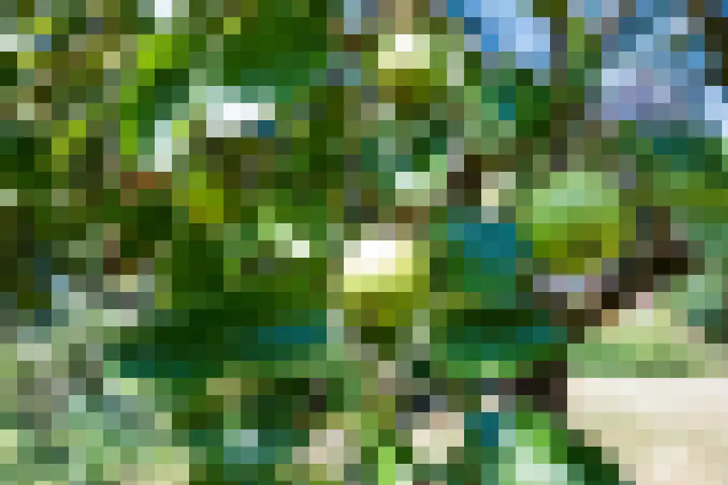 Smeestraat 12 Eerbeek thumbnail 17