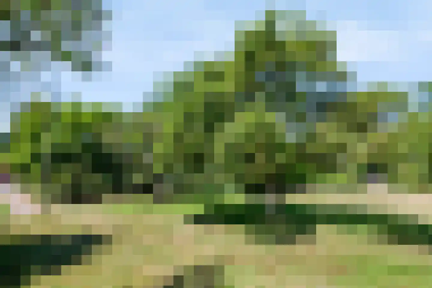 Smeestraat 12 Eerbeek thumbnail 19