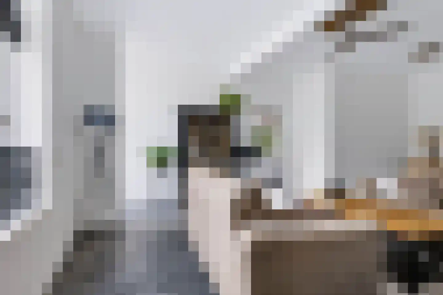 Smeestraat 12 Eerbeek thumbnail 34
