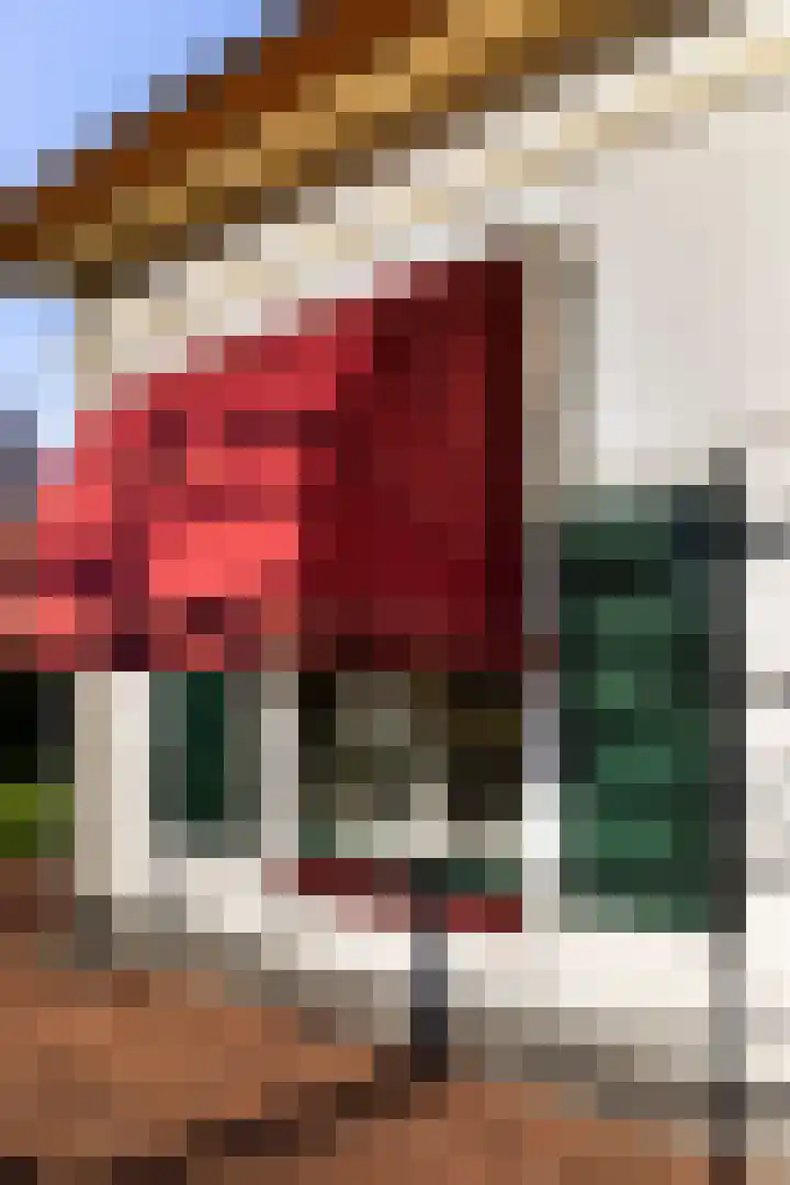 Smeestraat 17 Eerbeek thumbnail 10