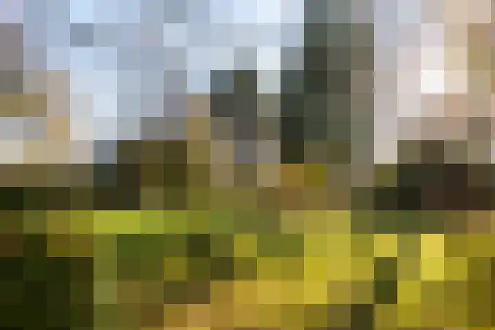 Smeestraat 17 Eerbeek thumbnail 5