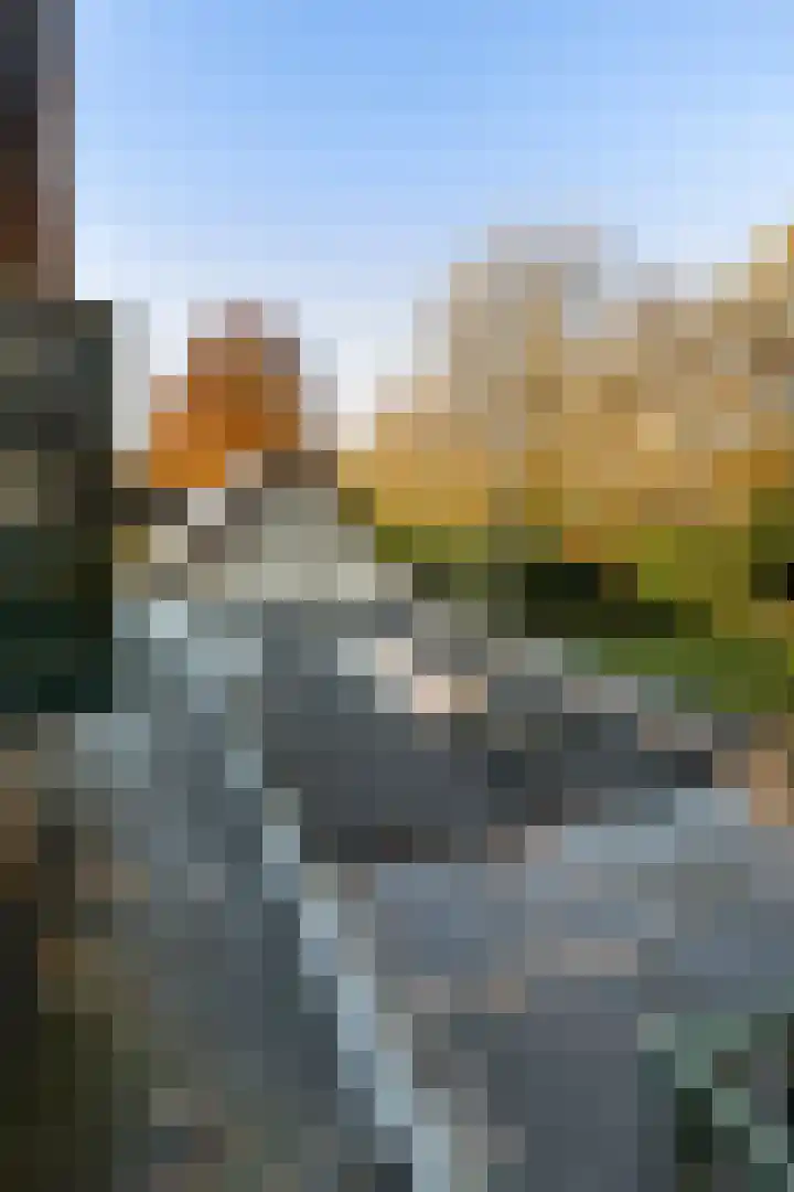Smeestraat 17 Eerbeek thumbnail 55
