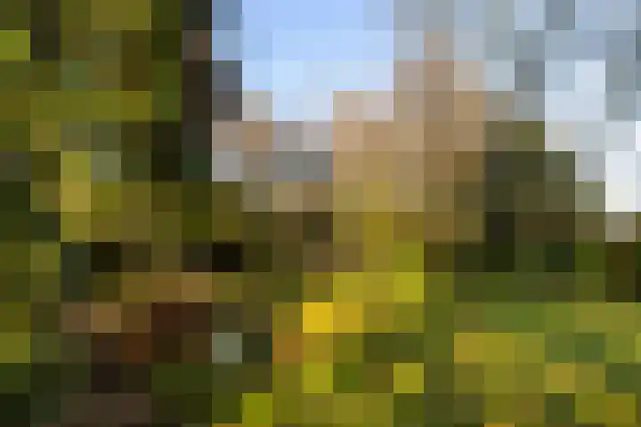Smeestraat 17 Eerbeek thumbnail 59
