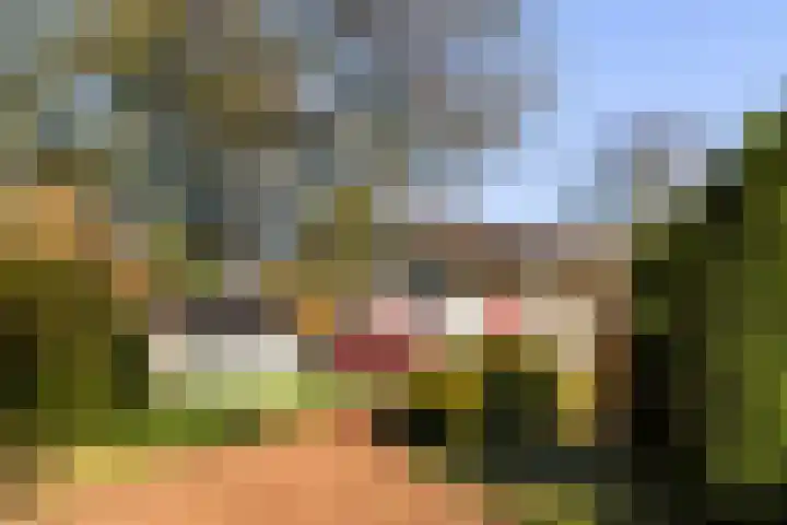 Smeestraat 17 Eerbeek thumbnail 61