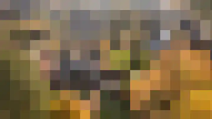 Smeestraat 17 Eerbeek thumbnail 66