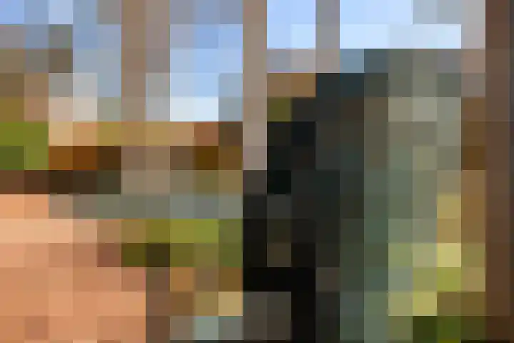 Smeestraat 17 Eerbeek thumbnail 8