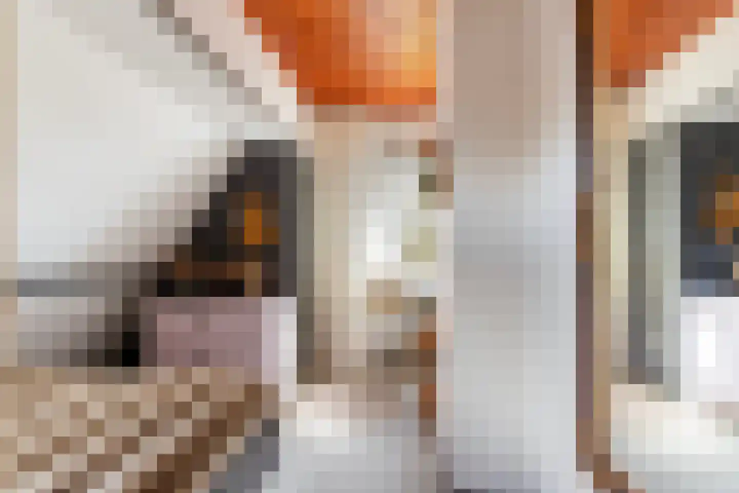 Smeestraat 19 Eerbeek thumbnail 34