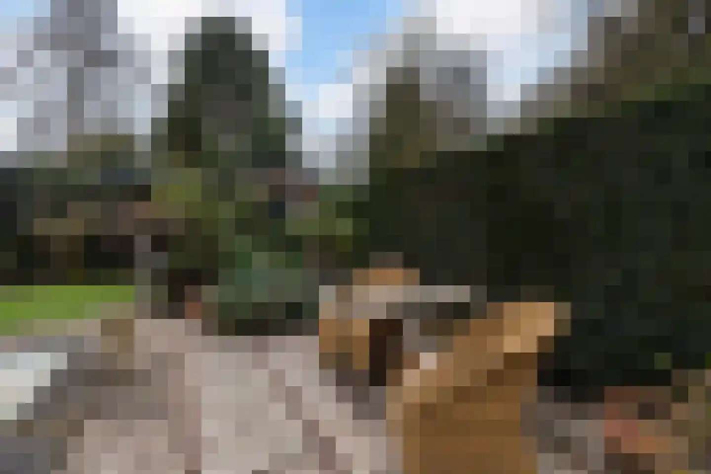 Smeestraat 19 Eerbeek thumbnail 47