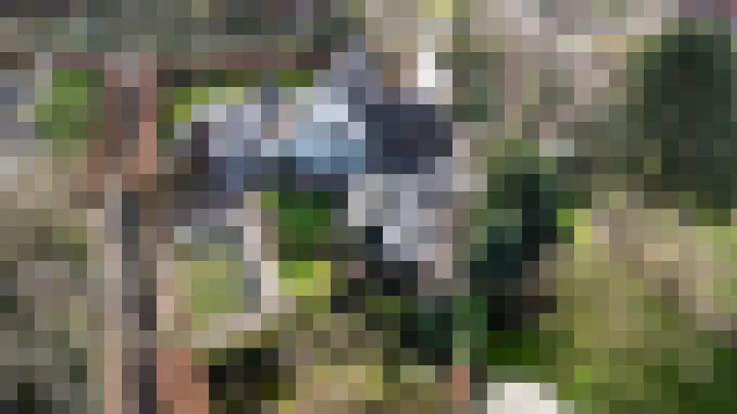 Smeestraat 19 Eerbeek thumbnail 5