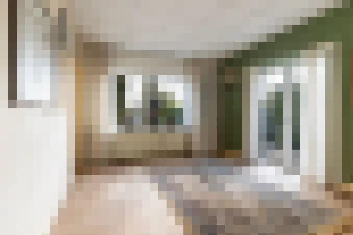 Smeestraat 19 Eerbeek thumbnail 61