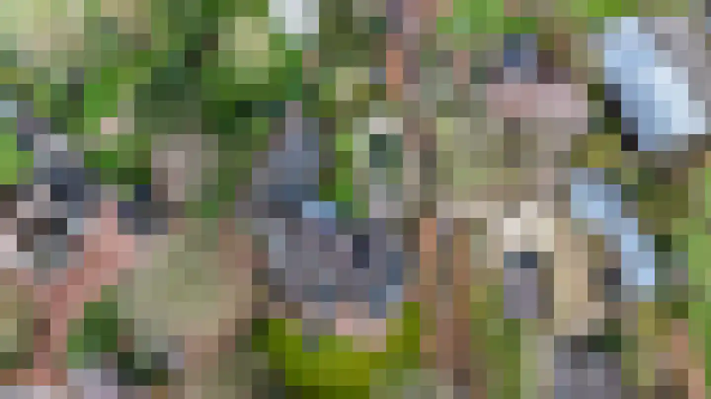Smeestraat 19 Eerbeek thumbnail 62