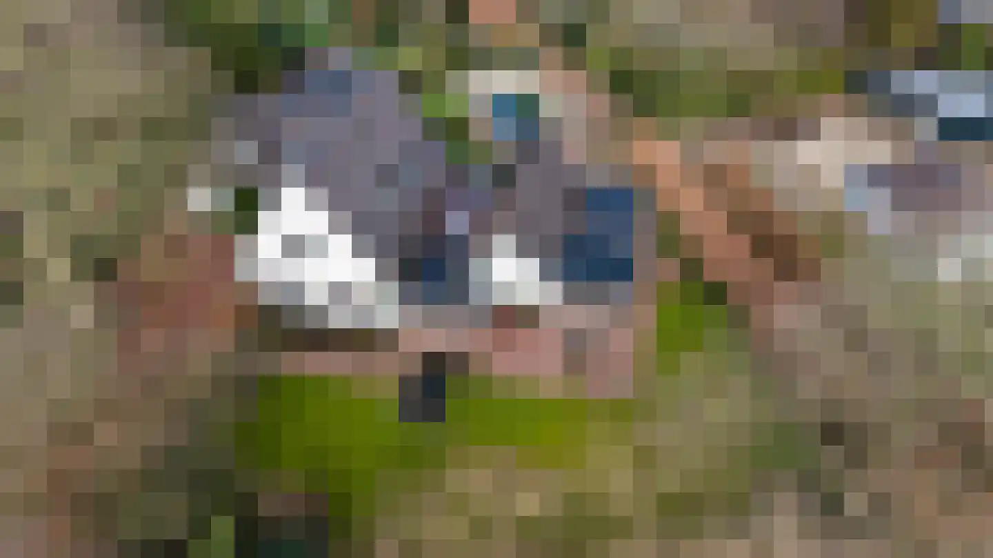 Smeestraat 19 Eerbeek thumbnail 64