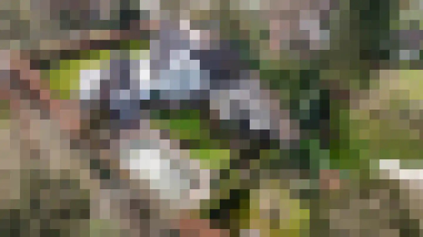Smeestraat 19 Eerbeek thumbnail 65
