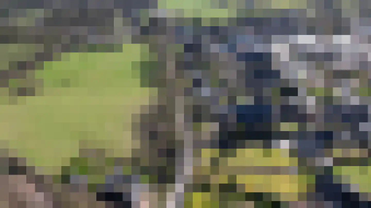 Smeestraat 19 Eerbeek thumbnail 66