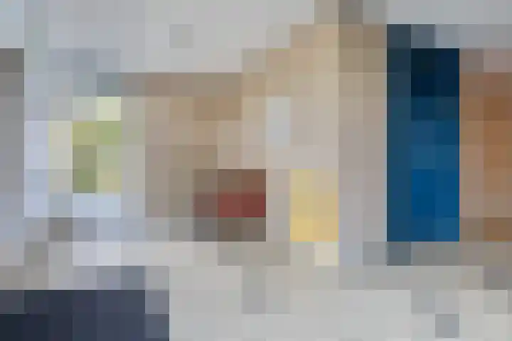Smeetsmastins 12 Leeuwarden thumbnail 10