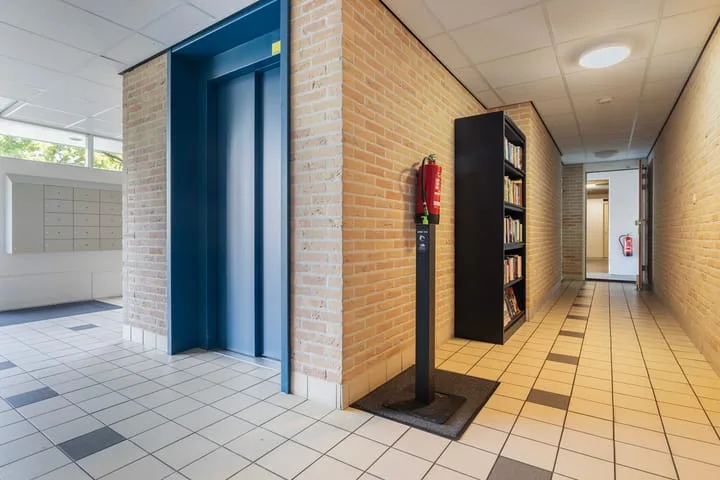 Smeetsmastins 12 Leeuwarden thumbnail 11