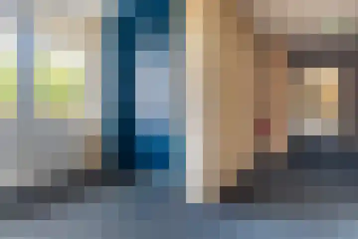 Smeetsmastins 12 Leeuwarden thumbnail 12
