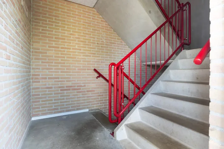 Smeetsmastins 12 Leeuwarden thumbnail 13