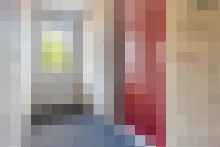 Smeetsmastins 12 Leeuwarden thumbnail 16