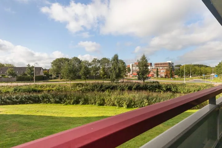 Smeetsmastins 12 Leeuwarden thumbnail 23