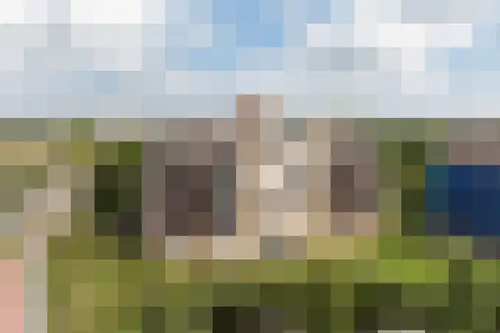 Smeetsmastins 12 Leeuwarden thumbnail 43