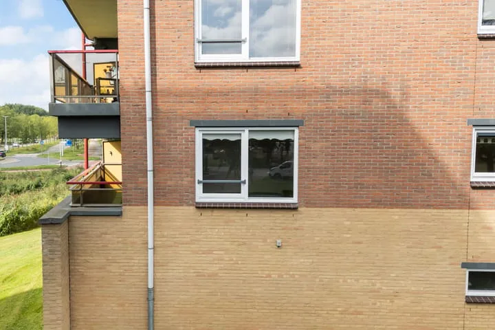 Smeetsmastins 12 Leeuwarden thumbnail 49