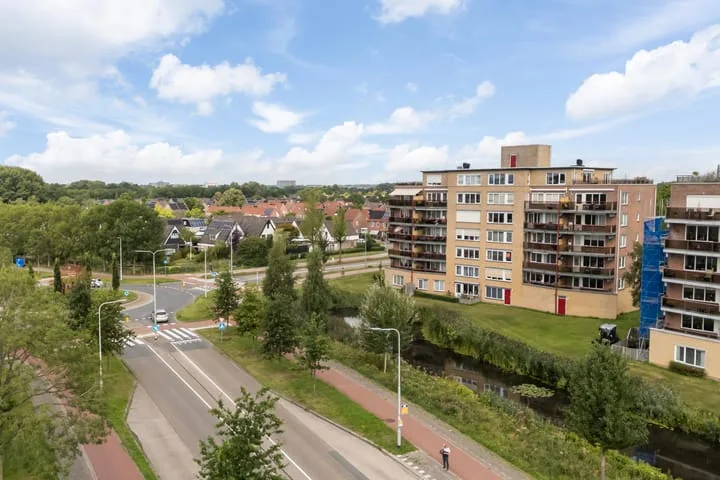 Smeetsmastins 12 Leeuwarden thumbnail 51