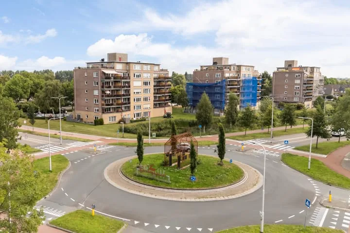 Smeetsmastins 12 Leeuwarden thumbnail 52