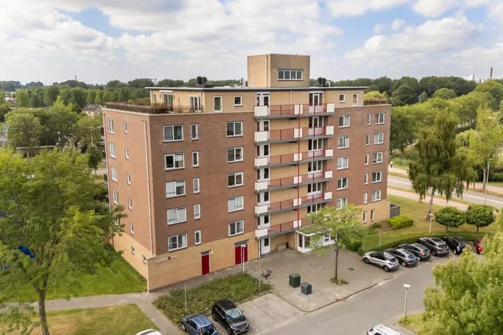 Smeetsmastins 12 Leeuwarden thumbnail 54