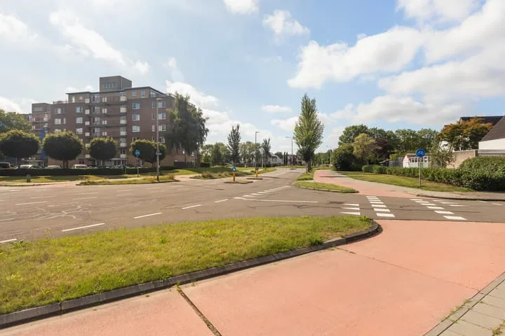 Smeetsmastins 12 Leeuwarden thumbnail 6