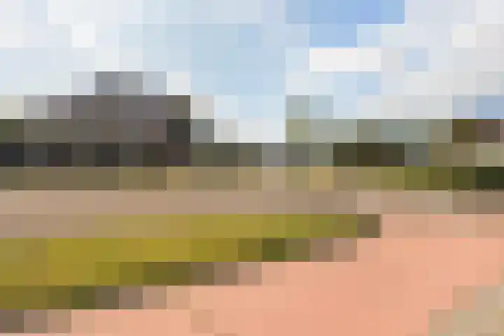 Smeetsmastins 12 Leeuwarden thumbnail 6