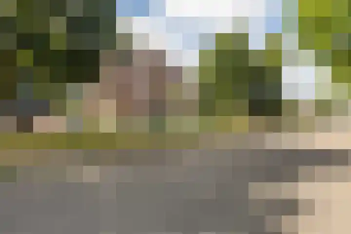 Smeetsmastins 12 Leeuwarden thumbnail 7