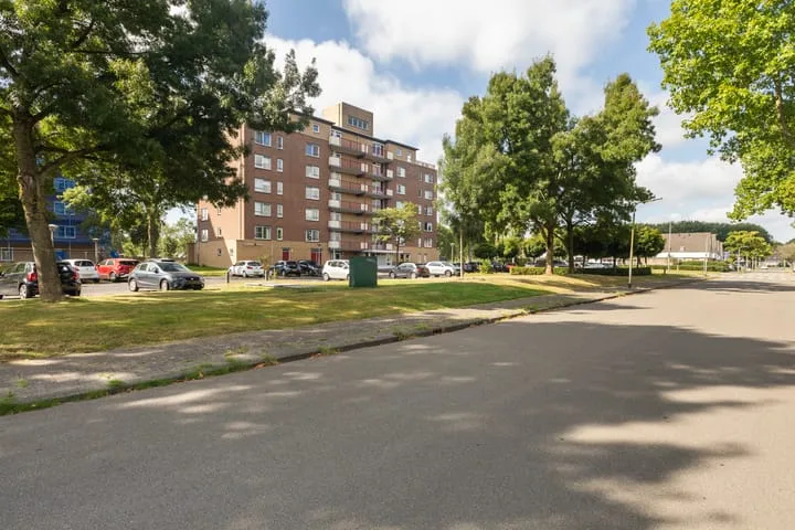 Smeetsmastins 12 Leeuwarden thumbnail 7