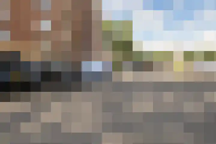 Smeetsmastins 12 Leeuwarden thumbnail 8