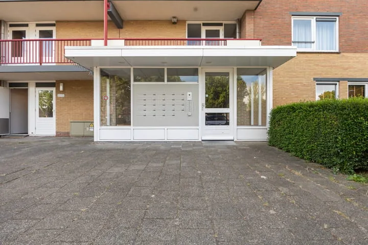Smeetsmastins 12 Leeuwarden thumbnail 9