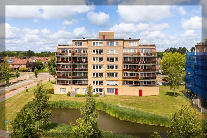 Smeetsmastins 18 in Leeuwarden foto